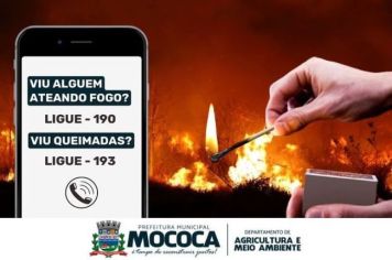 DIGA NÃO ÀS QUEIMADAS!