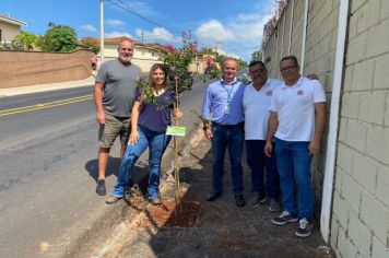 PREFEITURA DE MOCOCA E CPFL UNEM ESFORÇOS EM PROGRAMA DE ARBORIZAÇÃO SEGURA