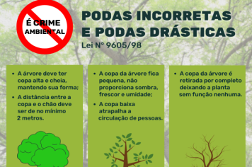 PREFEITURA ALERTA SOBRE PODA DRÁSTICA
