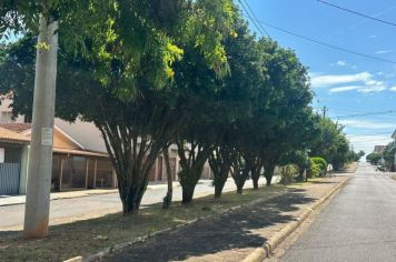 EQUIPE DA LIMPEZA PÚBLICA TRABALHA A TODO VAPOR