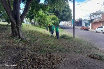 LIMPEZA GERAL EM VÁRIOS PONTOS DE MOCOCA