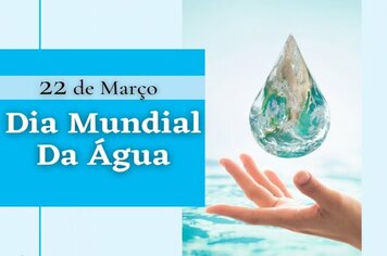 Autor: Desenvolvimento Social e Habitação