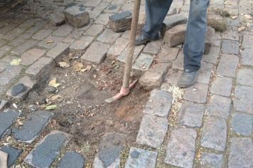 PREFEITURA REALIZA MANUTENÇÃO NAS RUAS COM PARALELEPÍPEDOS. 