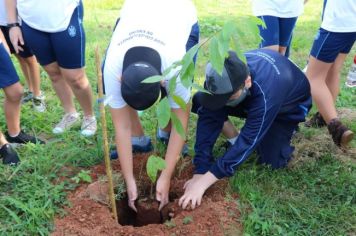 PREFEITURA AUXILIA EM PROJETO DE PLANTIO DE ÁRVORES DOS ALUNOS DO 6° ANO