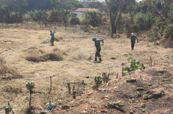 LIMPEZA GERAL EM VÁRIOS PONTOS DE MOCOCA!
