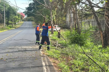 DEFESA CIVIL DE MOCOCA REALIZA EXTRAÇÃO DE ÁRVORES SECAS E QUEIMADAS NA VICINAL MOCOCA – SÃO BENEDITO DAS AREIAS 