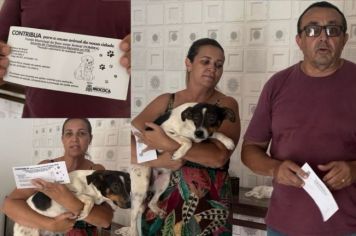 CAMPANHA EM PROL DOS ANIMAIS 