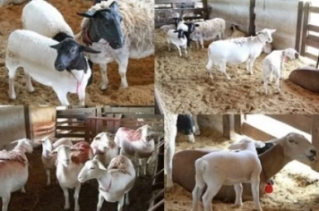 INSCRIÇÕES ABERTAS