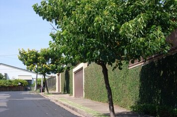 Prefeitura informa que coleta de podas segue suspensa até 31 de julho em toda a cidade