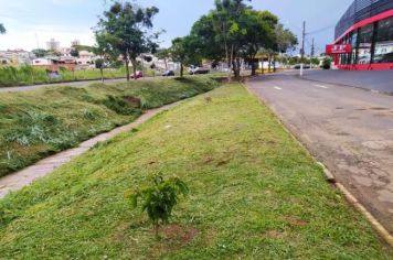 PREFEITURA MUNICIPAL DE MOCOCA REALIZA LIMPEZA E MANUTENÇÃO DA ESCOLA DRº. CARLOS LIMA DIAS E DA AVENIDA