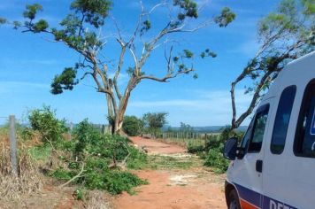 DEFESA CIVIL DE MOCOCA FAZ REMOÇÃO DE SEIS ÁRVORES NO CRUZEIRO DO RIO PARDO