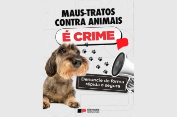 Maus-tratos contra animais é crime!!