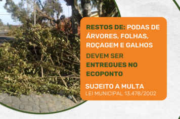 PREFEITURA ALERTA PARA O DESCARTE CORRETO DE RESTOS DE PODAS
