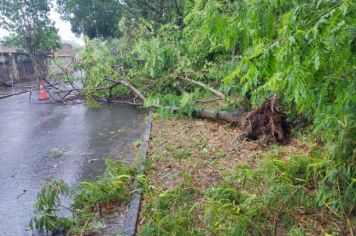 DEFESA CIVIL DE MOCOCA NA ATIVA