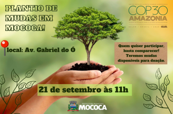 PLANTIO DE MUDAS EM MOCOCA!