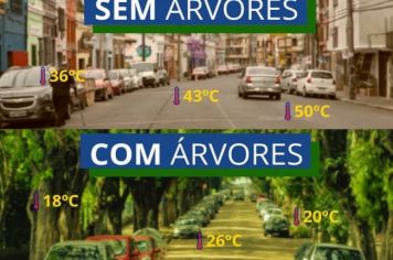  PREFEITURA DE MOCOCA ALERTA