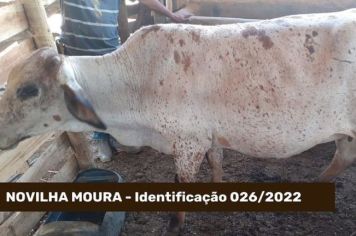 ATENÇÃO ANIMAL CAPTURADO