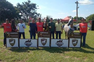 29ª EXPOSIÇÃO ESPECIALIZADA DO CAVALO MANGALARGA MARCHADOR DE MOCOCA