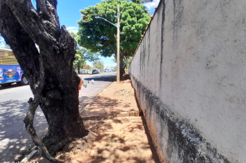  PREFEITURA REALIZA LIMPEZA MAIS UMA VEZ NA CALÇADA DO CEMITÉRIO, ALVO DE DESCARTE IRREGULAR 