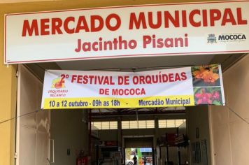 ATENÇÃO MOCOCA! COMEÇA HOJE! 