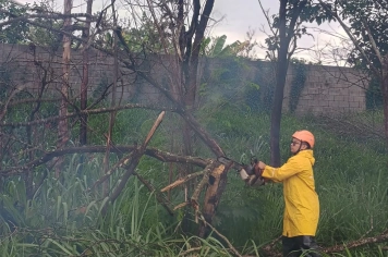 DEFESA CIVIL DE MOCOCA REALIZA EXTRAÇÃO DE ÁRVORES QUEIMADAS E SECAS NA VICINAL MOCOCA–SÃO BENEDITO DAS AREIAS