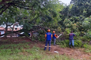 DEFESA CIVIL EM AÇÃO