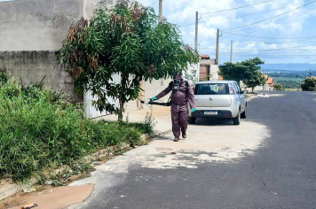 EQUIPE DE COMBATE ÀS ENDEMIAS DE MOCOCA