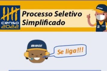 PROCESSO SELETIVO-IBGE