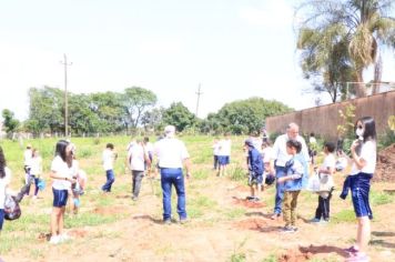 ALUNOS DAS ESCOLAS HILDA SILVA E COLÉGIO MARIA IMACULADA REALIZAM O PLANTIO DE 60 MUDAS NATIVAS