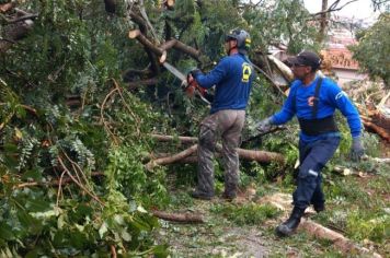 DEFESA CIVIL TRABALHA NA RETIRADA DE ÁRVORES DAS RUAS APÓS FORTE CHUVA NESTA MADRUGADA