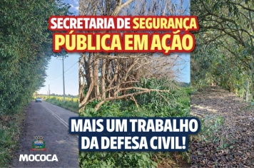 DEFESA CIVIL EM AÇÃO!