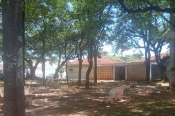 PREFEITURA DE MOCOCA REALIZA LIMPEZA E MANUTENÇÃO NA PRAÇA DO PPA 