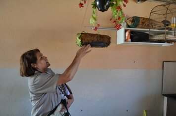 Departamento de Saúde intensifica ações de combate à Dengue com vistorias em casas
