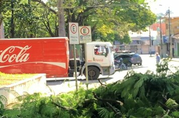 Segundo diretor do Departamento Timé, a poda das árvores nas avenidas, praças e bairros da cidade é importante para proporcionar a passagem dos veículos de grande porte, além dos pedestres. A limpeza ainda proporciona uma claridade maior durante a noite, 