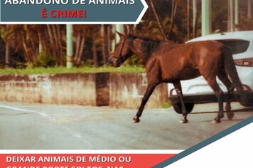 Uma cidade melhor depende de todos! FAÇA SUA PARTE!

ANIMAIS SOLTOS NAS RUAS É CRIME!