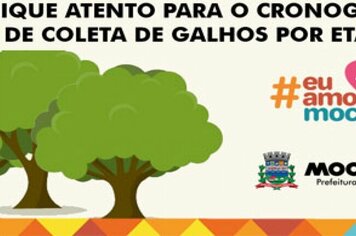 INFORMATIVO - Atenção para o cronograma de coleta de galhos no município