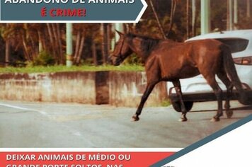 UMA CIDADE MELHOR DEPENDE DE TODOS !

#FACASUAPARTE