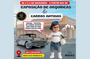  6° FESTIVAL DE ORQUÍDEAS EM MOCOCA! 