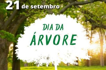 QUEM NUNCA APROVEITOU UMA SOMBRA EMBAIXO DE UMA ÁRVORE? 