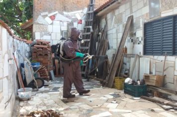 PREFEITURA INICIA NEBULIZAÇÃO CONTRA DENGUE EM MOCOCA 