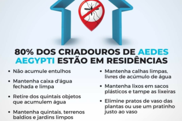 TODOS CONTRA A DENGUE