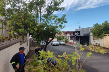 DEFESA CIVIL DE MOCOCA NA ATIVA