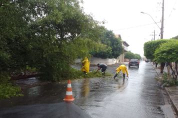  DEFESA CIVIL DE MOCOCA REALIZA SERVIÇOS NA COHAB I E VILA QUINTINO