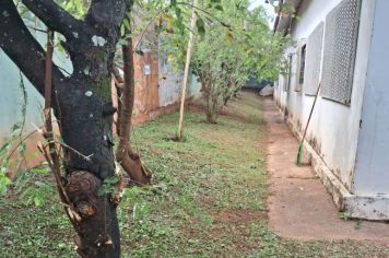 ESCOLAS MUNICIPAIS RECEBEM LIMPEZA