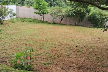 ESCOLAS MUNICIPAIS RECEBEM LIMPEZA