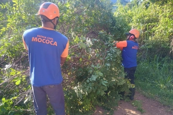  DEFESA CIVIL DE MOCOCA ATUA NA DESOBSTRUÇÃO DE ESTRADA RURAL