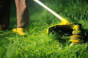 ATENÇÃO PROPRIETÁRIOS DE TERRENO