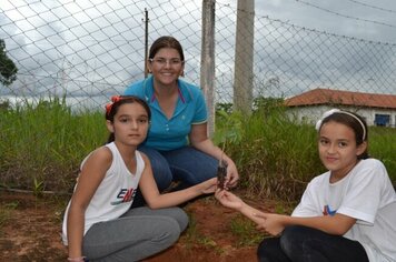 Prefeitura doa mudas de árvores para serem plantadas na escola da “Aspase”