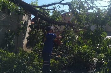 DEFESA CIVIL MUNICIPAL AGE RÁPIDO E RETIRA GALHOS DE ÁRVORES NA CIDADE APÓS TEMPESTADE DE SEXTA.