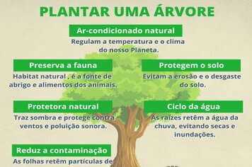 CAMPANHA DO DEPARTAMENTO MUNICIPAL DA AGRICULTURA E MEIO AMBIENTE DE MOCOCA: